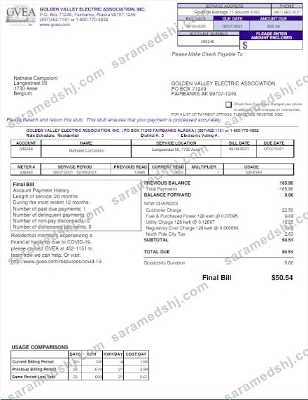 USA GVEA utility bill Word and PDF template